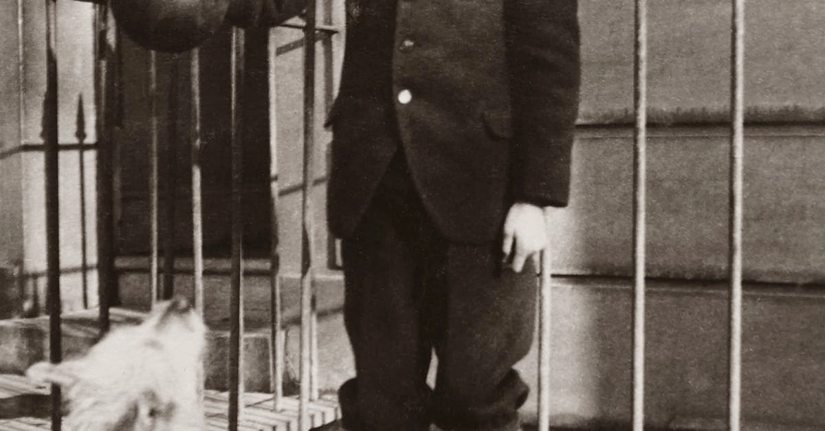 Винтажные игровые автоматы с системами лояльности без депозита